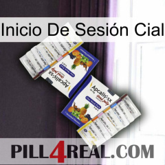 Inicio De Sesión Cial 12